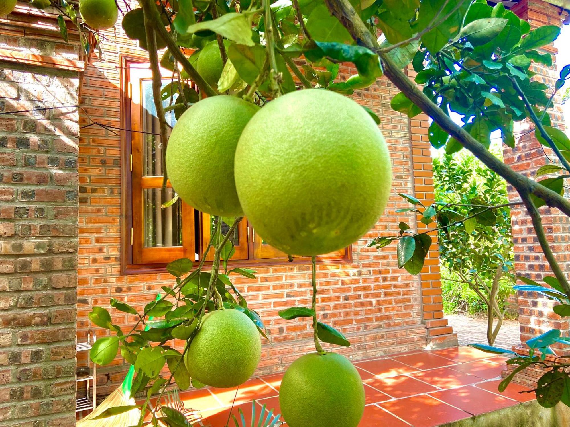 Ninh Binh Friendly Homestay Bagian luar foto