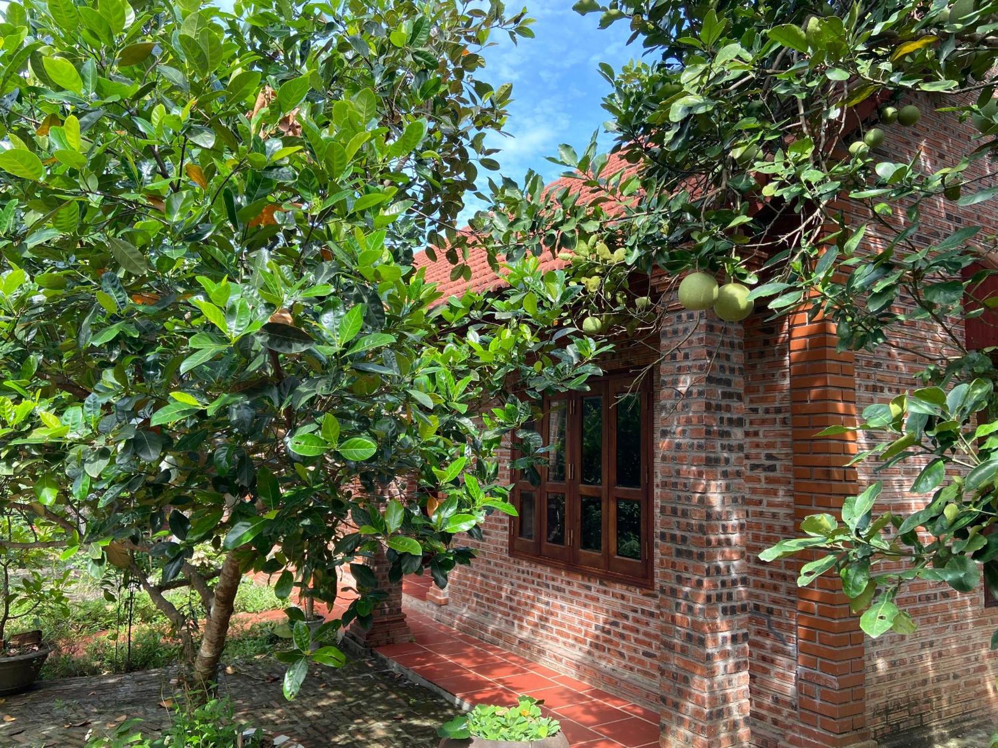 Ninh Binh Friendly Homestay Bagian luar foto
